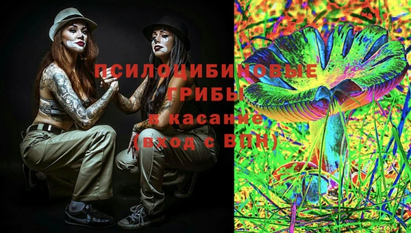 гашик Аркадак