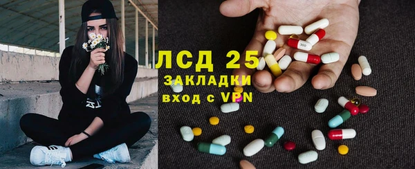 гашик Чегем