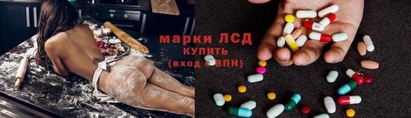 гашик Аркадак