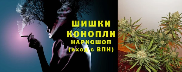 гашик Аркадак