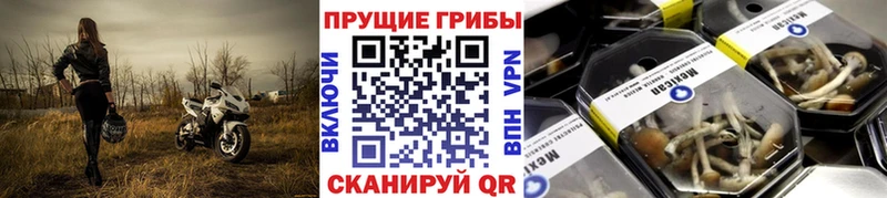 купить наркоту  Калининец  MEGA зеркало  Псилоцибиновые грибы мицелий 